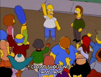 homer simpson episode 23 GIF