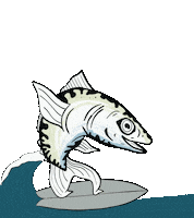 EauLarge surf poisson eau large mini wave Sticker