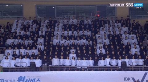 seotor_7 giphyupload GIF