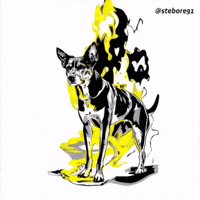 Dog Wtf GIF