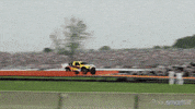 GIF by Okkult Motion Pictures