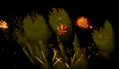 Happy New Year GIF by Vinnie Camilleri
