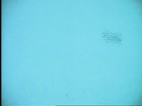 season 3 swimming GIF