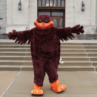Vt Hokies GIF by Virginia Tech