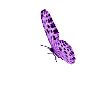 Butterfly Merl Sticker