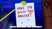 season 9 safe deposit krabs GIF by SpongeBob SquarePants