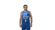 Liga Endesa Dance Sticker by ACB