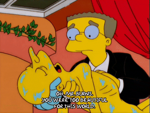 episode 16 waylan smithers GIF