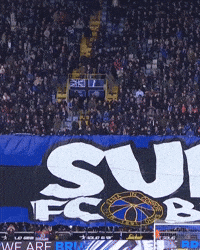Supporters Blauw-Zwart GIF by Club Brugge