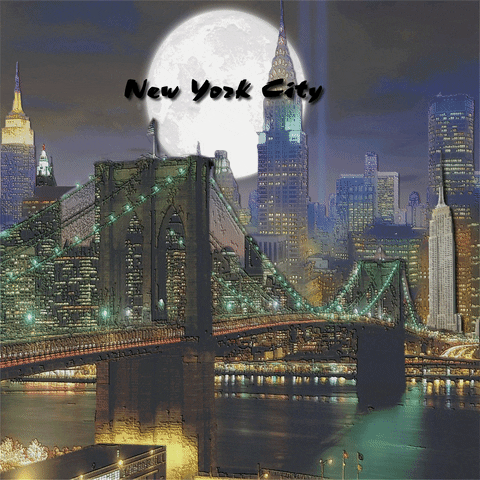 new york city GIF