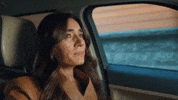 Ela Leyla GIF by Ay Yapım