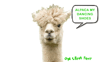oyelenaperu dance peru lama ngo Sticker
