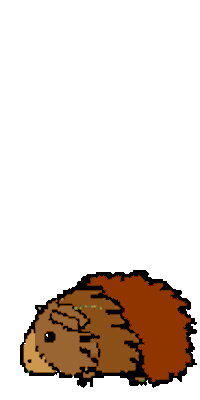 guinea pig STICKER