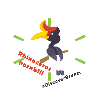Rhinoceros Hornbill Brunei Sticker by bruneitourismofficial