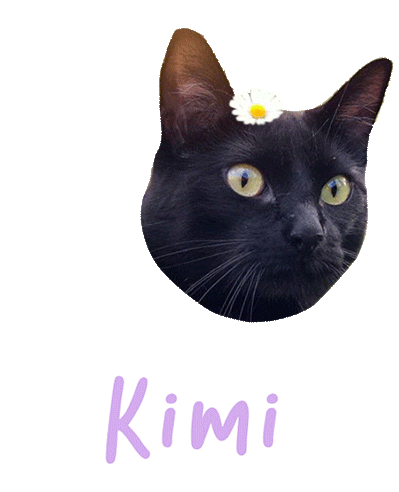 Cat Kimi Sticker