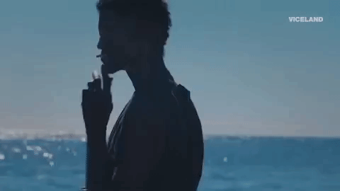 viceland GIF by Hamilton's Pharmacopeia