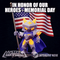 Remember American Flag GIF by Super Studios (Community)