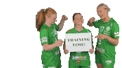 Handball Greenfamily Sticker by ETO