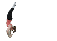 Handstand Bullsproof Sticker by CrossFit Bulls and Bears