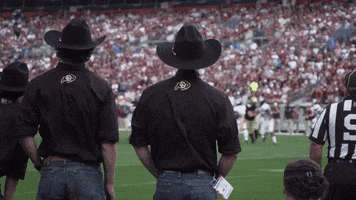 University Of Colorado College GIF by CUBoulder