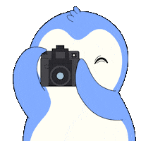 Penguin Smile Sticker by Pudgy Penguins