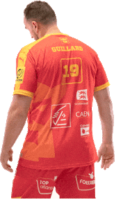 lesvikingsdecaen handball proligue caenhandball lesvikingsdecaen Sticker