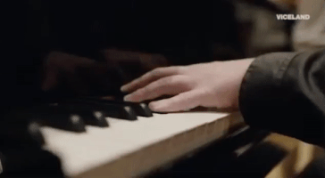 viceland GIF by Payday