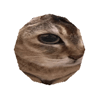 Mei Mei Cat Sticker