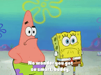 season 4 GIF by SpongeBob SquarePants