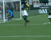 Happy Sport GIF by Major League Soccer