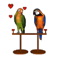 I Love You Animation Sticker