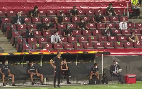 Celebrate Europa League GIF by UEFA