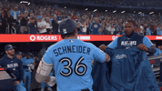 Blue Jays Baseball GIF by Toronto Blue Jays