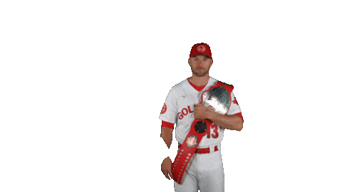 Homerun Sticker by Winnipeg Goldeyes Baseball Club