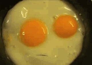 breakfast eggs GIF