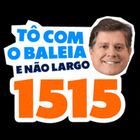 Politica Deputado Federal GIF by MDBNacional
