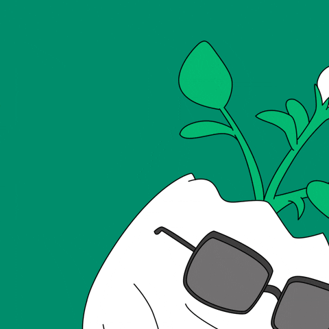 Pay Bills Money GIF by Magic Eden