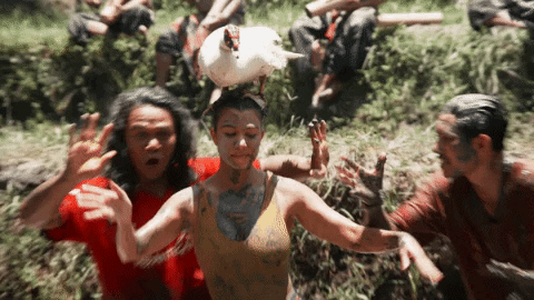 Bunim-MurrayProductions giphygifmaker dance free duck GIF