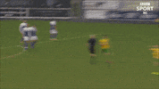 Celebration GIF by Cliftonville Football Club