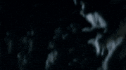 Monster Werewolf GIF by What We Do In The Shadows