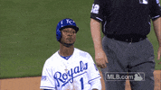 kc GIF by MLB