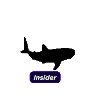 Insider Mentoria Sticker by Beauty In