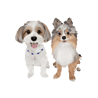 Yorkshire Terrier Dog Sticker by Honey Boo Designs
