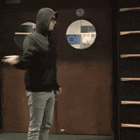 nicosemsrott smash nico strasbourg european parliament GIF