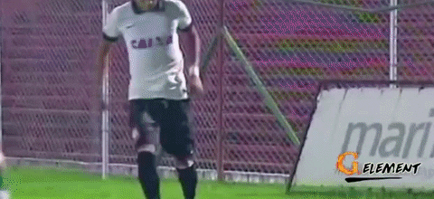 giphygifgrabber GIF