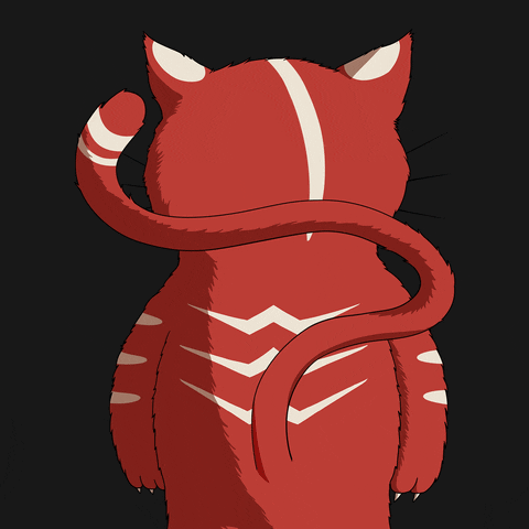 Cat Lol GIF by Kitaro World