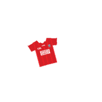 Gaelic Football Ireland Sticker by Sports Direct