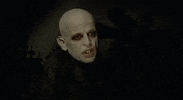 phantom der nacht vampyre GIF