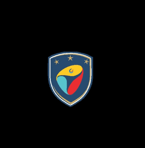 IdeaSport soccer training GIF