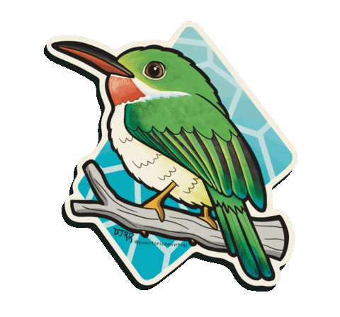 Sticker Frog Sticker